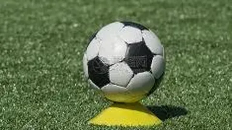 2025年电竞椅身高适应力评测：骁骑X7 Pro版椅款，矮个子玩家体验解析