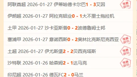 《仅用48小时创纪录！哈森姆能否终结连败魔咒，一飞冲天？》